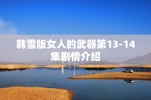 韩雪版女人的武器第13-14集剧情介绍