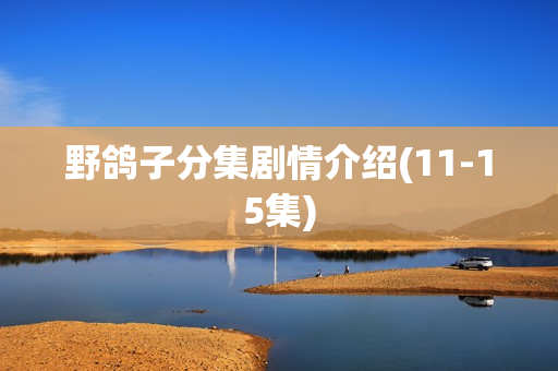 野鸽子分集剧情介绍(11-15集)