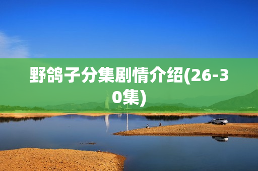 野鸽子分集剧情介绍(26-30集)