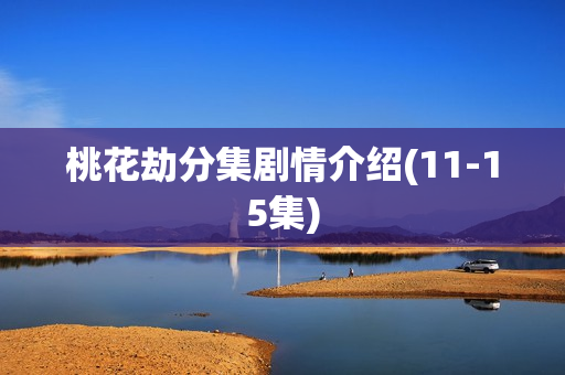 桃花劫分集剧情介绍(11-15集)