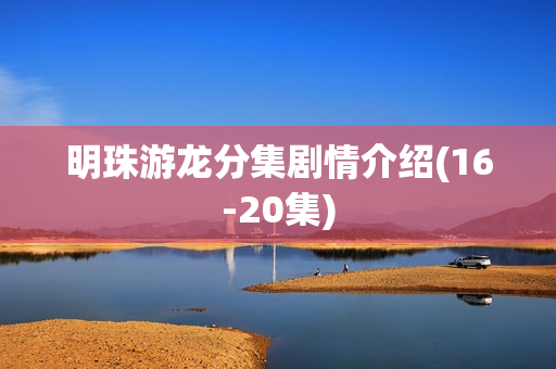 明珠游龙分集剧情介绍(16-20集)