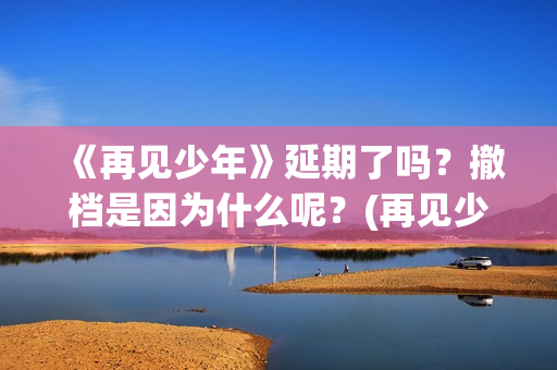 《再见少年》延期了吗？撤档是因为什么呢？(再见少年延期)