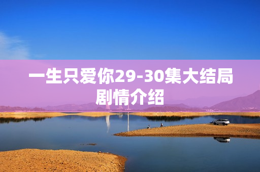 一生只爱你29-30集大结局剧情介绍