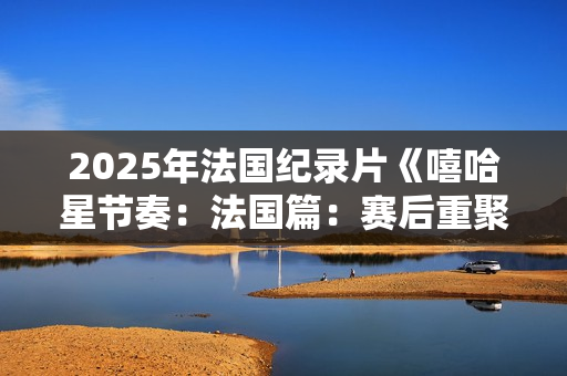 2025年法国纪录片《嘻哈星节奏：法国篇：赛后重聚》HD法语中字