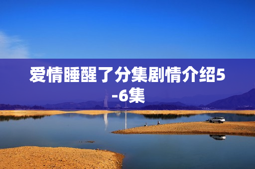 爱情睡醒了分集剧情介绍5-6集