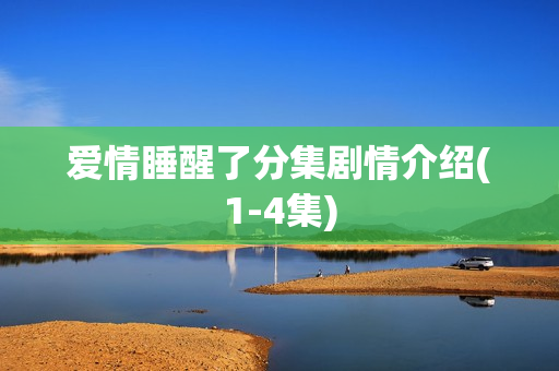 爱情睡醒了分集剧情介绍(1-4集)