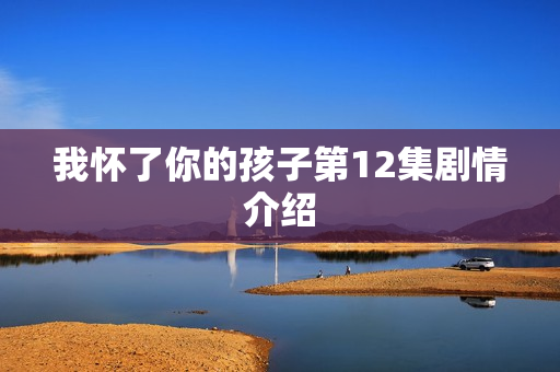 我怀了你的孩子第12集剧情介绍