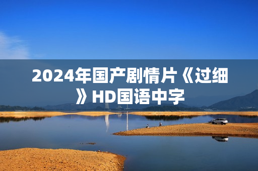 2024年国产剧情片《过细》HD国语中字
