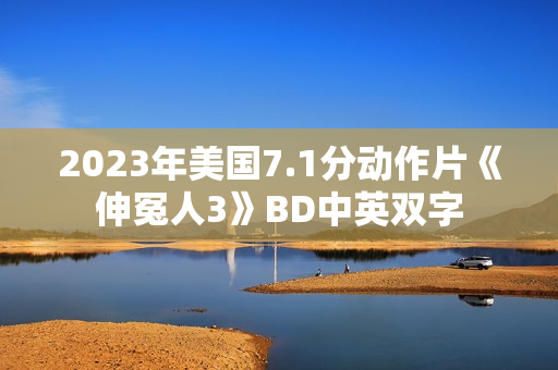 2023年美国7.1分动作片《伸冤人3》BD中英双字