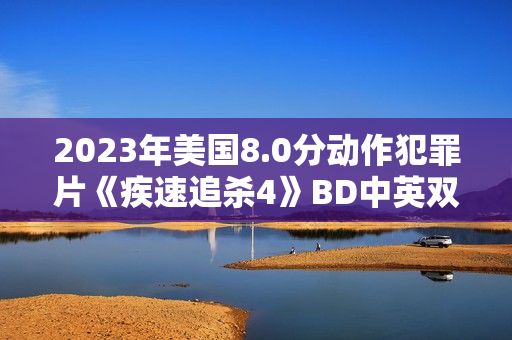 2023年美国8.0分动作犯罪片《疾速追杀4》BD中英双字