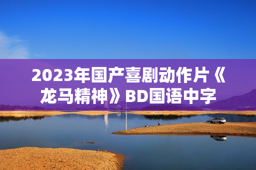 2023年国产喜剧动作片《龙马精神》BD国语中字