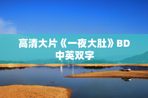 高清大片《一夜大肚》BD中英双字