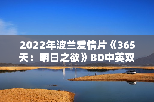 2022年波兰爱情片《365天：明日之欲》BD中英双字
