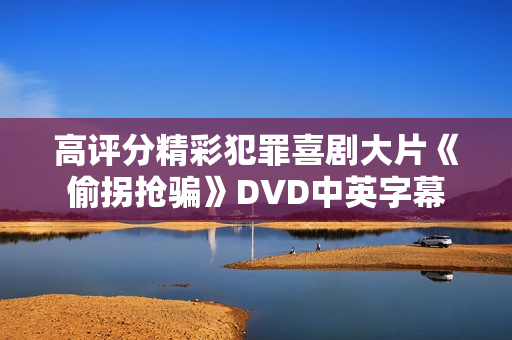 高评分精彩犯罪喜剧大片《偷拐抢骗》DVD中英字幕 高评分精彩犯罪喜剧大片《偷拐抢骗》DVD中英字幕