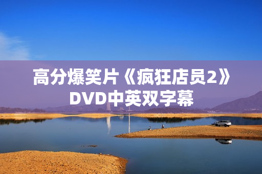 高分爆笑片《疯狂店员2》DVD中英双字幕 高分爆笑片《疯狂店员2》DVD中英双字幕