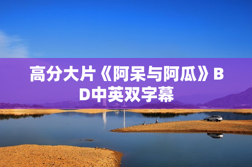高分大片《阿呆与阿瓜》BD中英双字幕