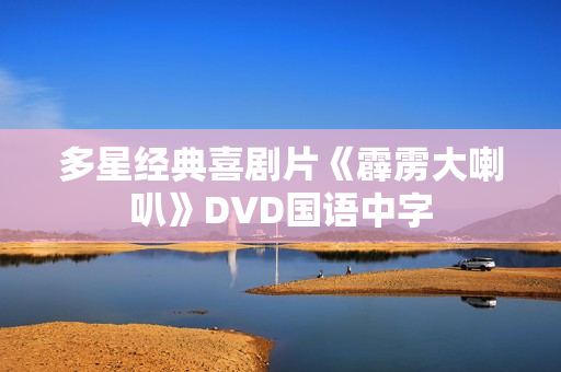 多星经典喜剧片《霹雳大喇叭》DVD国语中字