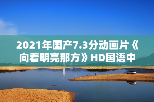 2021年国产7.3分动画片《向着明亮那方》HD国语中字