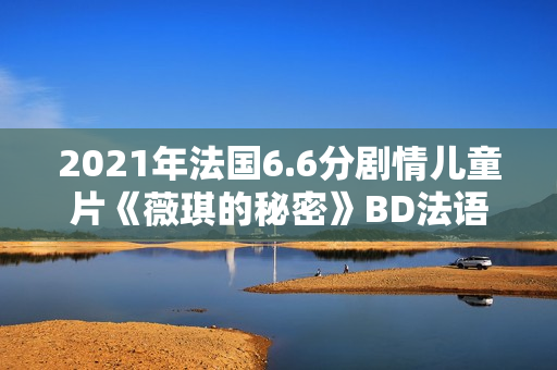 2021年法国6.6分剧情儿童片《薇琪的秘密》BD法语中字