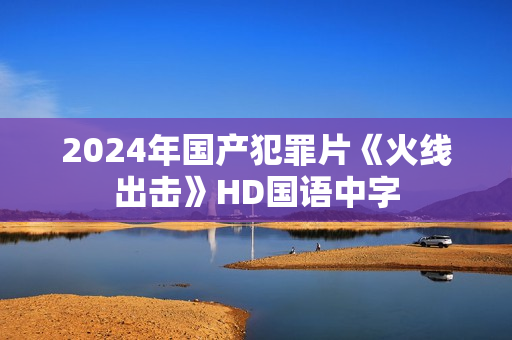 2024年国产犯罪片《火线出击》HD国语中字