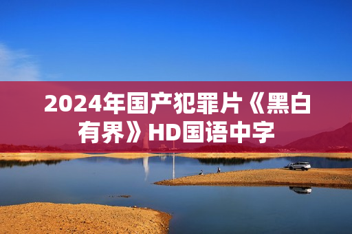 2024年国产犯罪片《黑白有界》HD国语中字