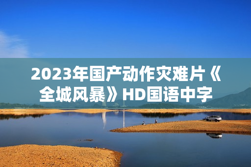 2023年国产动作灾难片《全城风暴》HD国语中字