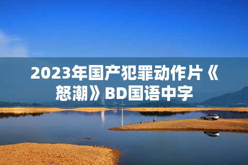 2023年国产犯罪动作片《怒潮》BD国语中字