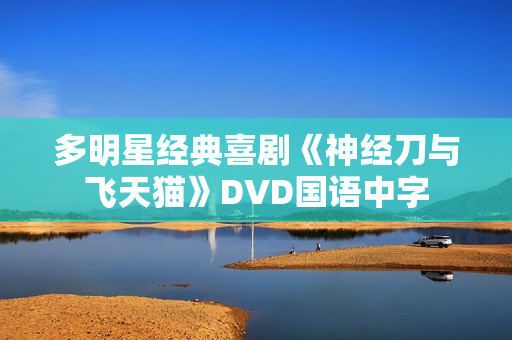 多明星经典喜剧《神经刀与飞天猫》DVD国语中字