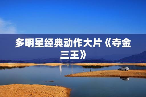 多明星经典动作大片《夺金三王》