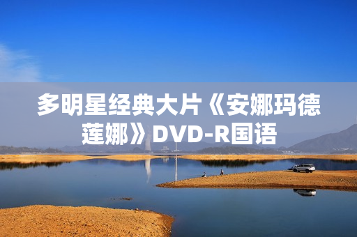多明星经典大片《安娜玛德莲娜》DVD-R国语