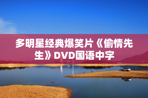 多明星经典爆笑片《偷情先生》DVD国语中字 多明星经典爆笑片《偷情先生》DVD国语中字