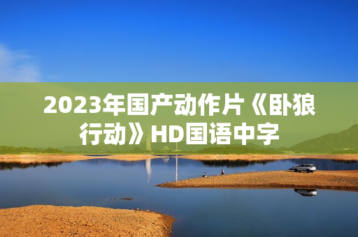 2023年国产动作片《卧狼行动》HD国语中字