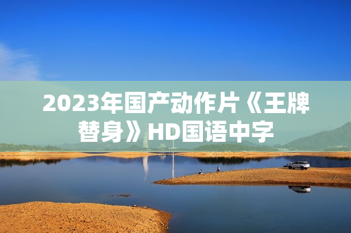 2023年国产动作片《王牌替身》HD国语中字