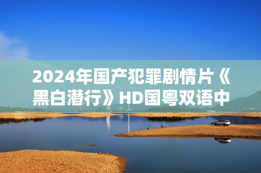 2024年国产犯罪剧情片《黑白潜行》HD国粤双语中字 2024年国产犯罪剧情片《黑白潜行》HD国粤双语中字