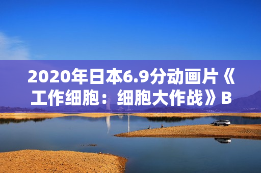 2020年日本6.9分动画片《工作细胞：细胞大作战》BD日语中字