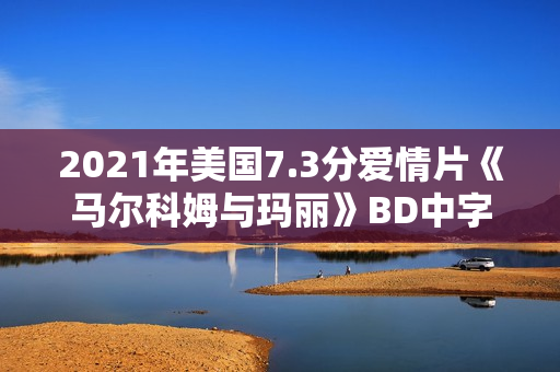 2021年美国7.3分爱情片《马尔科姆与玛丽》BD中字