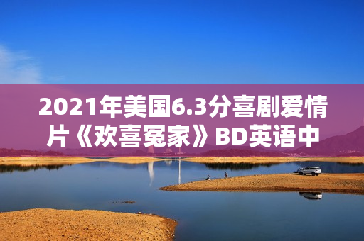 2021年美国6.3分喜剧爱情片《欢喜冤家》BD英语中字