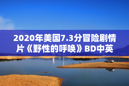 2020年美国7.3分冒险剧情片《野性的呼唤》BD中英双字