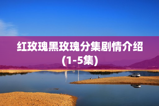 红玫瑰黑玫瑰分集剧情介绍(1-5集)