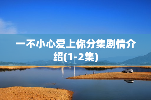 一不小心爱上你分集剧情介绍(1-2集)