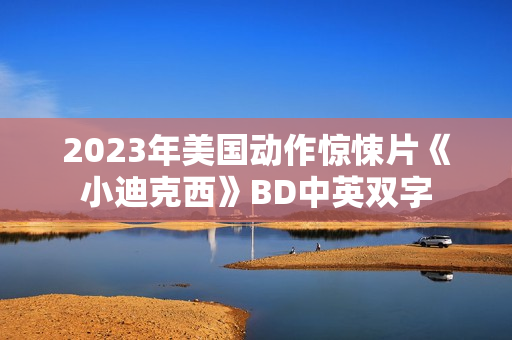 2023年美国动作惊悚片《小迪克西》BD中英双字