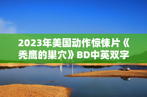 2023年美国动作惊悚片《秃鹰的巢穴》BD中英双字