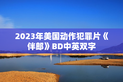 2023年美国动作犯罪片《伴郎》BD中英双字