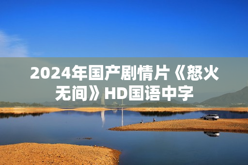 2024年国产剧情片《怒火无间》HD国语中字