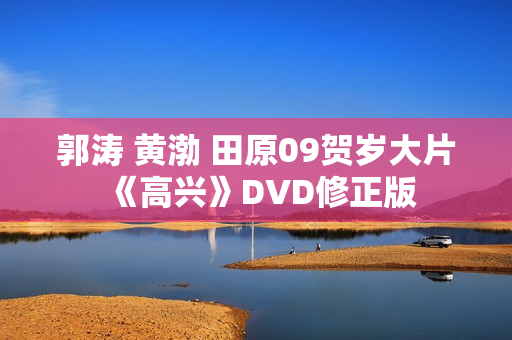 郭涛 黄渤 田原09贺岁大片《高兴》DVD修正版