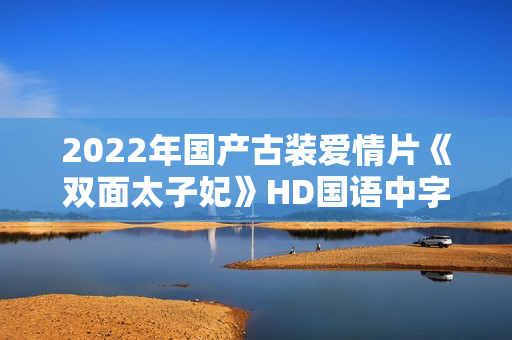 2022年国产古装爱情片《双面太子妃》HD国语中字