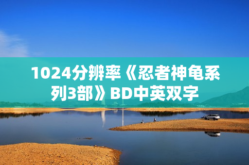1024分辨率《忍者神龟系列3部》BD中英双字
