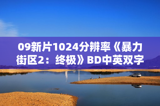09新片1024分辨率《暴力街区2:终极》BD中英双字 09新片1024分辨率《暴力街区2:终极》BD中英双字