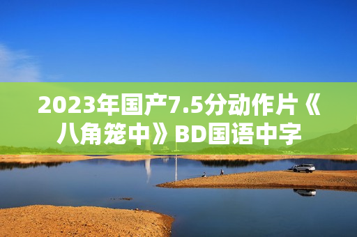 2023年国产7.5分动作片《八角笼中》BD国语中字