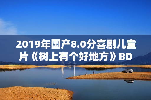 2019年国产8.0分喜剧儿童片《树上有个好地方》BD国语中字